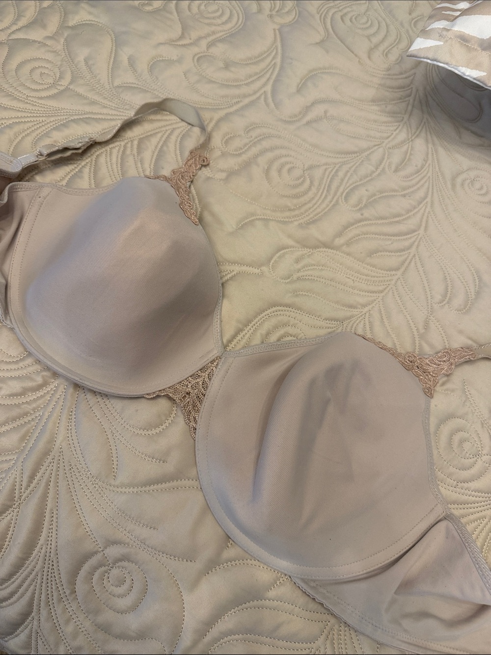 Wacoal Light Beige Lace-Trim T-Shirt Bra